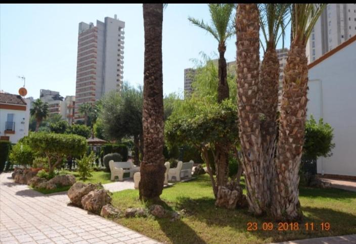 Sunshine Apartament Διαμέρισμα Μπένιντορμ Εξωτερικό φωτογραφία