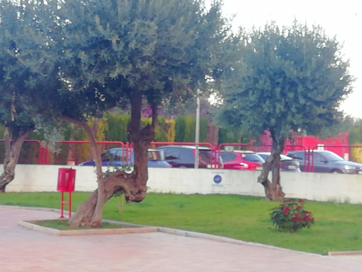 Sunshine Apartament Διαμέρισμα Μπένιντορμ Εξωτερικό φωτογραφία